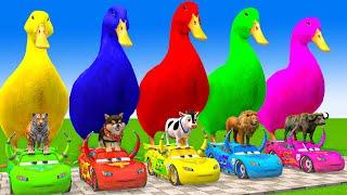 5 Giant Duck Cartoon,Cow,Elephant,Giraffe,Tiger,Lion, Paint Wild Animals Crossing Fountain Animation