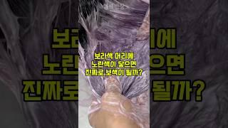 염색할 때 보라색이 강하다면 노란색을 써보세요!!