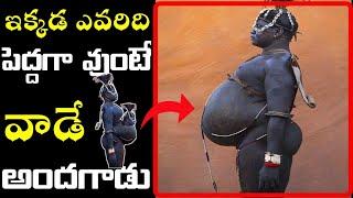 Bodi tribs in telugu || Facts in Telugu || Sk facts in Telugu