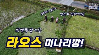 ep37. 1970년에 멈춘 라오스의 알프스, 씨엥쿠앙