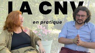 Comment utiliser la CNV en pratique ? Feat. Robin Dardeau Meta-self