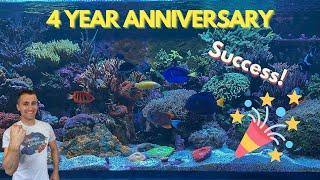 Shallow Reefing- Innovative Marine 200 Gallon 4 year Anniversary