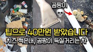 11시간 세차하고 팁으로 40만원 받았습니다 | 제네시스에 밀려 망해가는 인피니티 이야기