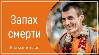 Запах смерти. Вальмики дас