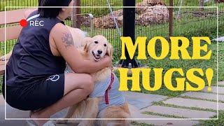 GOLDEN RETRIEVER HUGS A STRANGER AT DOG PARK TO AVOID GOING HOME  | DOG VLOG 