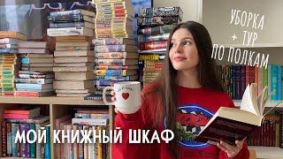 МОЙ КНИЖНЫЙ ШКАФ | тур по книжным полкам, уборка и перестановка 