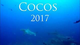 Cocos 2017 (Coco's Island, Costa Rica) Buceo, diving