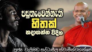 පසුතැවෙන්නැති හිතක් හදාගන්න විදිහ/ven welimada saddhaseela thero/පූජ්‍ය වැලිමඩ සද්ධාසීල හිමි