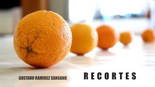 Gustavo Ramirez Sansano: Recortes – werk trailer No.1