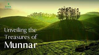 The Ultimate Munnar Experience | Kerala Tourism #DreamDestinations