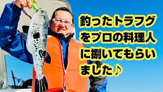 釣ったトラフグをプロに捌いてもらいました2022.11.25