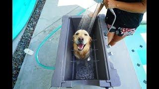 PUPPY LOVES HIS NEW CUSTOM DOG BATH - Super Cooper Sunday #157