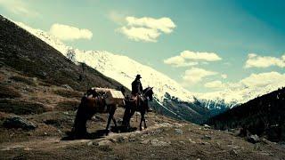 The Lone Wanderer who brought fear to the Wild West | Legendary Western Action for an Evening Watch