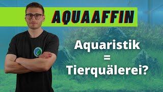 Fische im Aquarium - IST DAS TIERQUÄLEREI? - AquaAffin #50