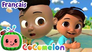 Les animaux de la plage | CoComelon - L'Heure de Cody | Chansons pour bébés