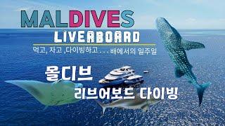 몰디브 리브어보드 (Maldives Liveaboard) 스쿠버 다이빙 일주일 여행기-Sailing the Maldives: A 7-Day Liveaboard Adventure