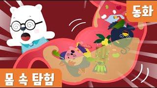 몸속탐험｜5월누리과정 (human body exploration for kids)