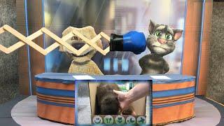 Talking Tom and Ben News. Cardboard Game. DIY