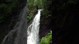 The power and beauty of nature. Waterfall. Carpathian Mountains.