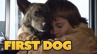 First Dog (FAMILIENFILM I komplett auf Deutsch, Tierfilm in voller Länge anschauen, kostenlos)