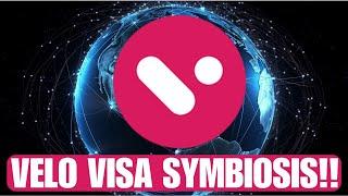  VELO LABS: VELO VISA SYMBIOSIS!!!!