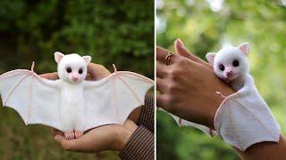 Top 10 Cute Animals In The World | FactEX