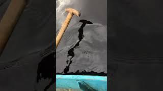 Ну, поклёвка же... #рыбалка #fishing