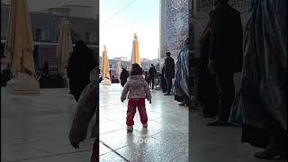 Lovely Kid Walking in the Holy Shrine of Imam Reza (AS) - 1