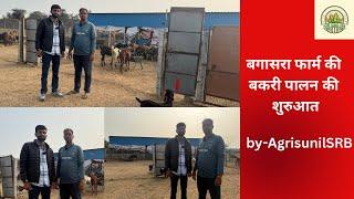 बकरी पालन की शुरुआत किस प्रकार करे by agrisunilsrb