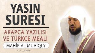 Yasin suresi anlamı dinle Mahir al Muaiqly (Yasin suresi arapça yazılışı okunuşu ve meali)