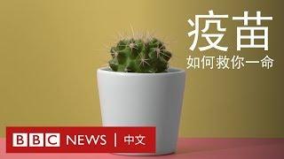 疫苗與群體免疫：一根針如何救你一命 － BBC News 中文 ｜ 群體免疫 ｜ 打針 ｜ 防疫