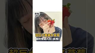 人生吃過最甜草莓‼️｜Cathy Anyway 隨便啦凱西