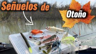 Secretos de Pesca en Otoño: Trucos y Consejos