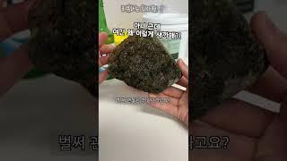 돌 같은 피부를 ㅇㅇㅇㅇ으로 관리하면 촉촉해진다? #우리반석이가 #달라졌어요 #핸섬스톤