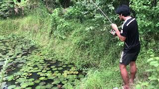 Hook Fishing In Pond By Mr tonjay