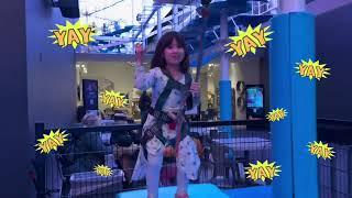 Little Dreamers Soar! Indoor Zipline Adventure Fun!