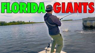 48 Hours Chasing Florida’s Saltwater Giants