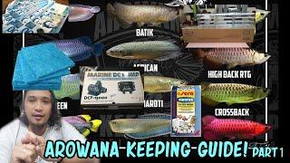 Arowana Keeping Guide Part 1 (English Subtitle)