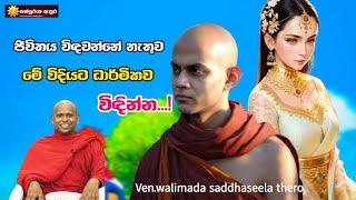 ජීවිතය විඳවන්නේ නැතුව මේ විදියට ධාර්මිකව විඳින්න...!  | Ven.walimada saddhaseela thero