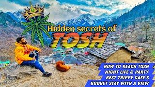 TOSH VILLAGE Himachal Pradesh | How to Reach Tosh | Nightlife Food Stay | Budget Tour #toshvillage