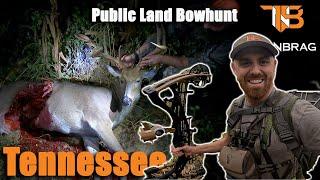 Tennessee Public Land Bowhunting