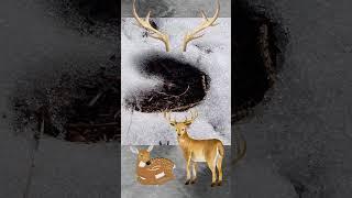 Deer Tracks in the Snow #Shorts #AnimalTracks