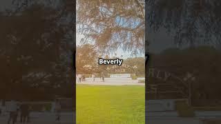  Fantastic Facts About Beverly Hills You Didn’t Know! 