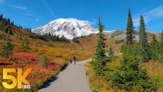 2 Hours Autumn Hike along Skyline Trail, Mt. Rainier - 5,5 mile Hard Trail near Paradise Inn