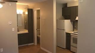 Apartment for Rent in Denver: Studio Type  - 980 S Dexter St #2 by Thornton Property Management