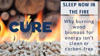 Sleep Now in the Fire - Why burning wood biomass for energy isn't clean or carbon free