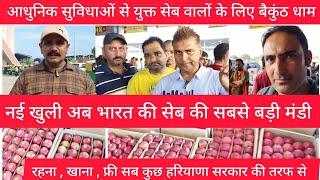 8 September 2024 पिंजौर HMT भारत की सबसे बड़ी सेब मंडी सेब वालो के लिए वैकुंठ है King Apple Market