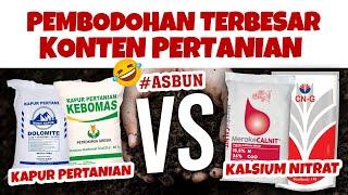 100% TEORI ASBUN  MARI BUKTIKAN KAPUR VS KALSIUM NITRAT | NAIKKAN PH & PEMBENAH TANAH RUSAK