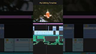 One Minute in Oahu #editingtutorial #editingskills #hawaii #editor