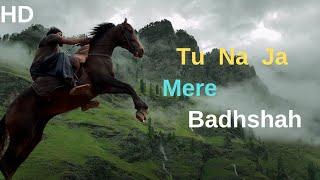 Tu na ja mere badhsha #trending #viralvideo #youtube #horse #musicsong